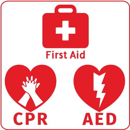 Learn Cpr, Infant Cpr, First Aid Training, First Aid Cpr, Basic Life Support, Cpr Training, Kids Safety, Platelet Rich Plasma, Online Training Courses