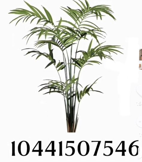 Bloxburg Leaves Codes, Bloxburg Bamboo Decal, Bloxburg Costal Plant Decals, Bloxburg Transparent Decals Plants, Realistic Plant Codes Bloxburg, Roblox Plant Decal Codes, Palm Tree Decal Codes Bloxburg, Transparent Plant Decal Codes Bloxburg, Roblox Plant Decals