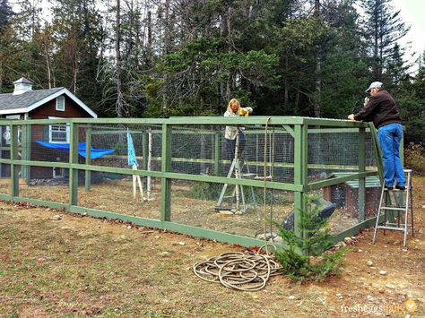 Build A Chicken Run, Building A Chicken Run, Chicken Barn, Portable Chicken Coop, Chicken Pen, Chicken Coop Run, Coop Design, Chicken Run, Best Chicken Coop