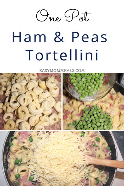 Ham And Peas Tortellini, Tortellini And Ham Recipes, Ham And Pea Tortellini, Ham And Cheese Tortellini Recipes, Tortellini Recipes With Peas, Tortellini Ham And Peas, Tortellini With Ham And Peas, Ham Tortellini Recipes, Ham And Tortellini Recipes