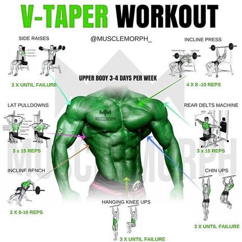 V Taper, Back Workout Bodybuilding, Back Workout Routine, Workout Gym Routine, Gym Workout Guide, Workout Program Gym, Best Gym Workout, Oblique Workout, Gym Workout Planner