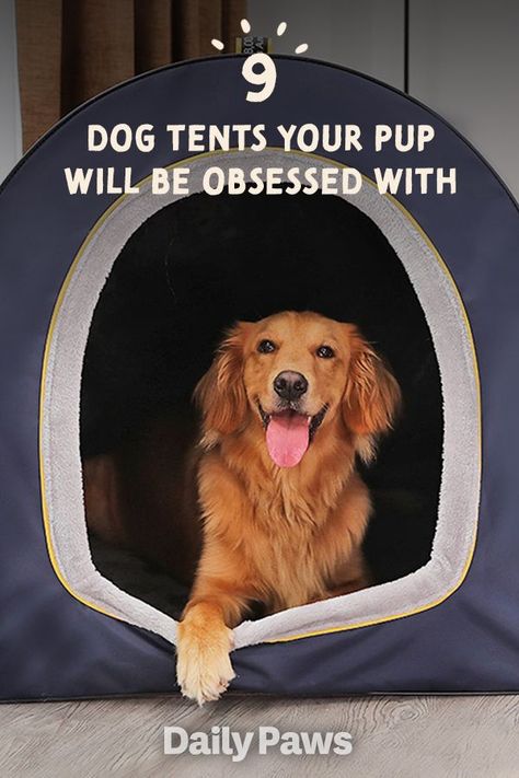 Find a tent that's great for true camping outside with your pet, or simply for lounging in at home. You'll find the perfect tent for every size and kind of dog! #petessentials #petgear #pettoys #treats #dogtoys #cattoys #cattreats #dogtreats #petexperience Dog Tents Indoor, Diy Dog Tent Bed, Dog Tent Diy, Diy Dog Tent, Dog Couches, Dog Bed With Canopy, Dog Canopy Bed, Dog Tent Bed, Sleeping Tent