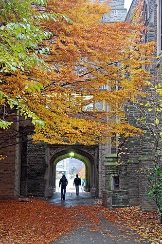 On a cold overcast Saturday afternoon, the fall leaves decorate the entrance to a passageway by one of the older buildings at McMaster University in Hamilton. Fall Campus Aesthetic, University Ideas, Beautiful University, Mcmaster University, Post Secondary Education, Mcgill University, Dream College, Hamilton Ontario, College Town