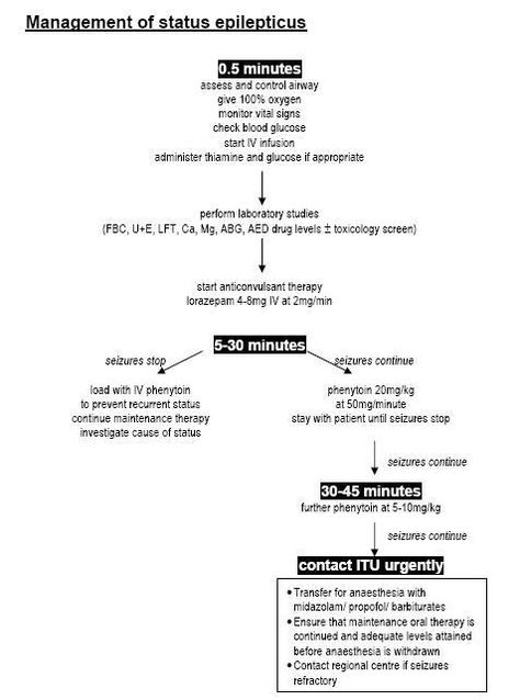 Status Epilepticus Status Epilepticus, Medical Study, Nursing School Prerequisites, Nursing Information, Nclex Prep, Nurse Anesthetist, Nurse Rock, Med Surg, Nursing School Tips