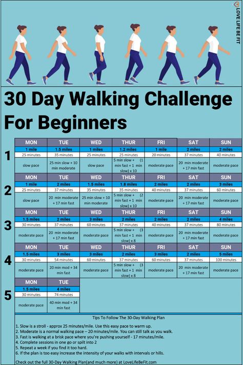 Get fit with this 30 Day Walking Challenge for beginners. Free Printable 30 day walking challenge with all the tips and advice you need to follow the plan. It's suitable for complete beginners. This 30 Day Walking Challenge to lose weight is adaptable and easy to follow. 30 Days Walking Challenge, 21 Day Walking Challenge, 30 Day Walking Challenge For Beginners, Walking Challenge 30 Day 10 Pounds, 28 Day Indoor Walking Challenge, 28 Day Walking Challenge, Walking Challenge 30 Day, Walking Challenge For Beginners, 30 Day Walking Challenge