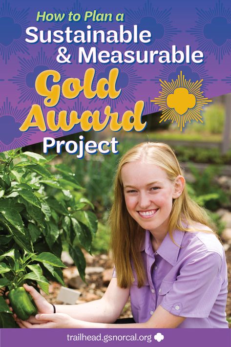 Girl Scout Gold Award Ideas, Gold Award Project Ideas, Gold Award Ideas, Girl Scout Silver Award, Girl Scout Gold Award, Girl Scout Meeting Ideas, Girl Scouts Cadettes, Girl Scout Patches, Brownie Girl Scout