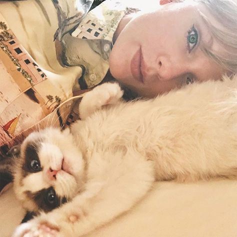 Taylor Swift Confirms She Got a New Cat — After Teasing the News in 'ME!' Video Taylor Being Cute, Taylor Swift Cat, Scooter Braun, Chelsea Handler, Taylor Swift New, Estilo Taylor Swift, Olivia Benson, Bon Iver, Brendon Urie