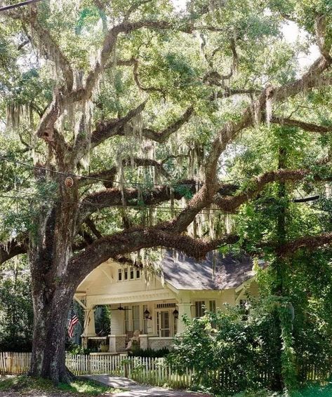 Steel Magnolias Play, New Orleans Style Homes, Covington Louisiana, Southern Mansions, Style South Park, Small Town Life, Southern Gothic, Low Country, Small Towns