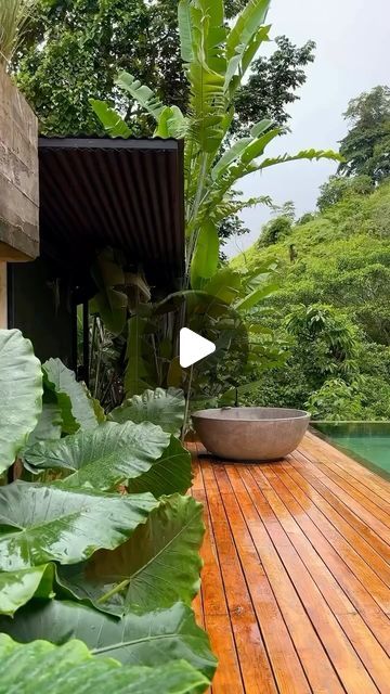 Tropical Cabin, Costa Rica Villas, Jungle Oasis, Costa Rica Hotel, Peace Bird, Travel Bali, Small Pool Design, Green Architecture, Luxury Retreats