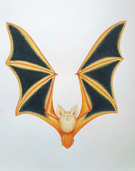 There’s no need to be scared of this adorable bat drawing! Professional artist Jesse Hodgson will demonstrate how to draw a bat from sketching the outline to adding smooth shading.It’s a great opportunity to perfect your shading techniques and make a stunning drawing at the same time. Things To Draw For Halloween, Drawing Ideas Easy Halloween, Halloween Drawing Ideas Easy, Drawing Ideas Scary, Scary Halloween Drawings, Bat For Halloween, Easy Halloween Face Painting, Draw A Bat, Haunted House Drawing