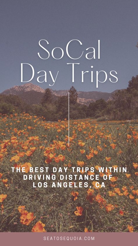 Day Trip From Los Angeles, Southern California Day Trips, Places To Visit In Southern California, California Day Trips, Day Trips In California, Day Trips From Los Angeles, Things To Do In Southern California, Southern California Road Trip, California Activities