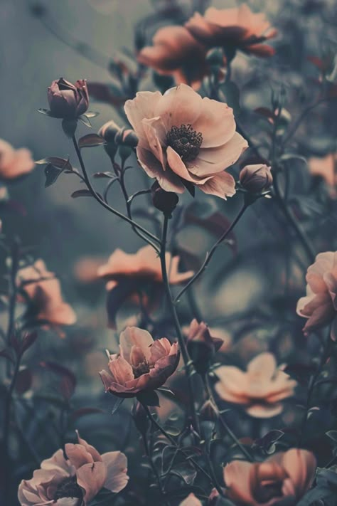 Wallpapers for your iPhone and Android phone with a vintage aesthetic. Phone Wallpaper Flowers Vintage, Aesthetic Wallpaper Floral Vintage, Vintage Wallpaper Android, Floral Phone Backgrounds Vintage, Wallpapers For Android Phone, Aesthetic Flowers Wallpaper Vintage Dark, Dark Floral Aesthetic Wallpaper, Floral Iphone Wallpaper, Nature Wallpaper Iphone