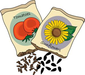 Seed plant clipart #14 Ee Words, Soul Collage, Garden Catalogs, Garden Farm, Clip Art Pictures, Flower Landscape, Air Fryer Recipes Healthy, Cute Clipart, Wood Pallet Projects