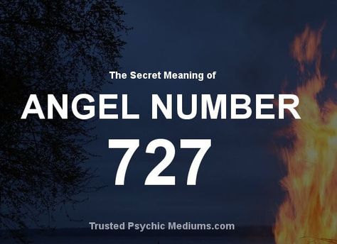 727 Angel Number, 111 Meaning, Life Is Funny, Angel Number 111, Archangel Prayers, Free Daily Horoscopes, Angel Signs, Number Sequence, Angel Number Meanings