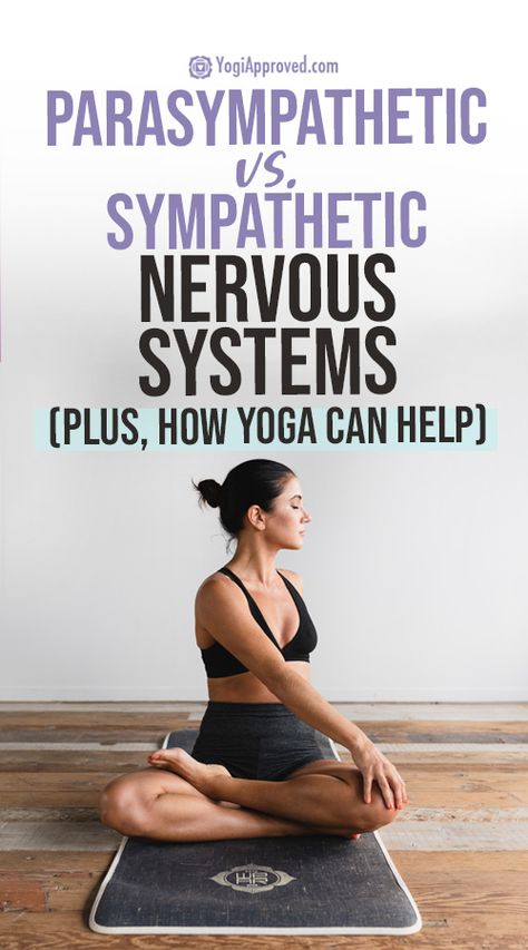 Parasympathetic vs. Sympathetic Nervous System + Yoga | YogiApproved Exercise For Nervous System, Para Sympathetic Nervous System, Yoga Nervous System, Nervous System Yoga, Yoga For Nervous System, Parasympathetic Vs Sympathetic, Sympathetic Vs Parasympathetic, Sympathetic Nervous System, Nervus Vagus