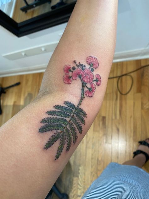 Mimosa Leaf Tattoo, Mimosa Tree Tattoo, Mimosa Flower Tattoo, Sticker Sleeve, Cute Thigh Tattoos, Pink Mimosa, Mimosa Tree, Flower Tat, Mimosa Flower