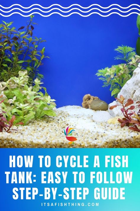 photo of an empty fish tank How To Cycle A Fish Tank, How To Set Up A Fish Tank, Simple Fish Tank, Fish Infographic, Fish Care Tips, Cool Fish Tank Decorations, Nano Reef Tank, Freshwater Fish Tank, Axolotl Tank