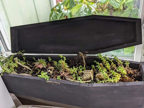 Graveyard Garden, Coffin Planter, Coffin Plant Shelf, Coffin Zen Garden, Coffin Terrarium, Graveyard Terrarium, Terrarium Graveyard, Skull Terrarium Diy, Glass Coffin Terrarium