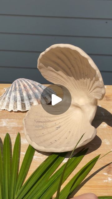 Ceramics Seashell, Seashell Clay, Clay Seashell, Clay Hand Building, Scallop Dishes, Sea Shells Diy, Shell Sculpture, Shell Craft, Pottery Inspo