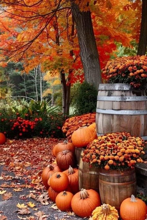 Outdoor Fall Decor Ideas, Autumn Magic, Fall Decor Ideas, Fall Outdoor Decor, Autumn Scenes, Autumn Scenery, Fabulous Fall, Fall Outdoor, Fall Porch