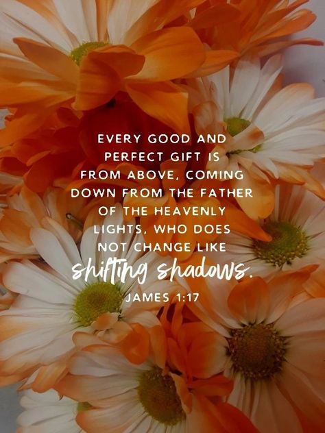 James 1 17, Thanksgiving Week, Thanksgiving Break, End Of The Week, Prayer Verses, Bible Teachings, Bible Verses Quotes Inspirational, Bible Quotes Prayer, Biblical Quotes