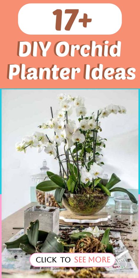 Elevate the sophistication of your living space with these gorgeous DIY orchid planter inspirations! Orchids are renowned for their elegance, and by selecting the perfect planter, you can beautifully present these exquisite blooms. Whether you fancy a simple and clean design or something more intricate, there are DIY choices available for all preferences and expertise levels. Unleash your creativity and fashion a stunning orchid display in your home now! Orchid Planter Ideas, Mini Rock Garden, Orchid Bowl, Orchid Display, Diy Orchids, Fall Landscaping, Indoor Orchids, Mailbox Landscaping, Creative Planter