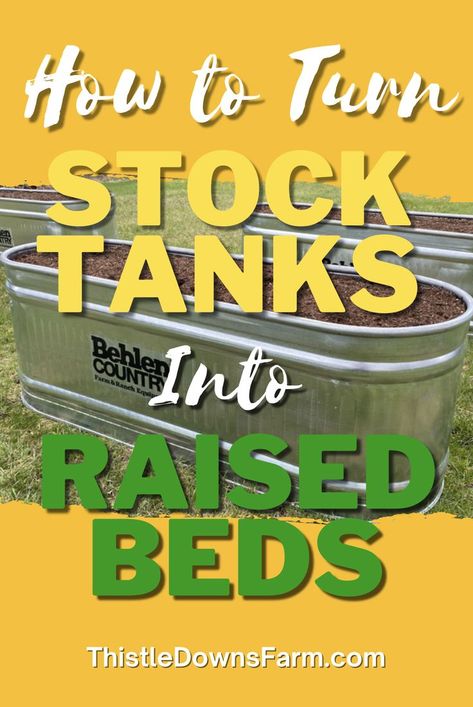 Stock Tank Garden Raised Beds, Stock Tank Gardening, Raised Bed Garden Layout, Raised Beds Diy, Beautiful Raised Garden Beds, Making Raised Garden Beds, Galvanized Stock Tank, Backyard Raised Garden, Metal Garden Beds