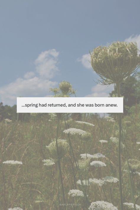 Wildflower background with some sky showing and a text overtop with a white background that says ...spring had returned, and she was born anew. Time To Hibernate Quotes, Spring Equinox Aesthetic Wallpaper, She Is Back Quotes, Aesthetic Spring Quotes, April Quotes Spring, Spring Wallpaper Quotes, April Quotes Aesthetic, Aesthetic Pfp Quotes, Hibernation Quotes