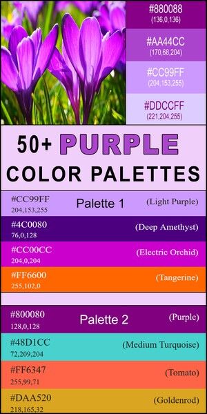 Purple Color Palette (Combinations, Schemes & Ideas) – DIY Projects, Patterns, Monograms, Designs, Templates Black And Purple Color Palette, Colors That Go With Lavender, 3 Color Palette Colour Schemes, Color Combos Colours That Go Together, Color Palette Purple Colour Combinations, Colors That Go With Purple, What Colors Go With Purple, Purple Yellow Color Palette, Purple And Orange Color Palette