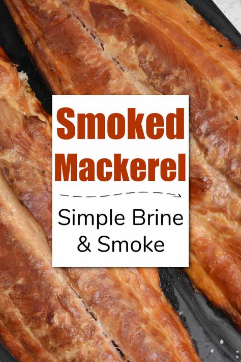 Smoked Mackerel Smoked Spanish Mackerel Dip, Grilled Mackerel Fish Recipes, Fresh Mackerel Recipes, Smoked Mackerel Recipe, King Mackerel Recipes, Whole Mackerel Recipe, Mackerel Recipe, Smoked Fish Dip, Bbq Smoker Recipes