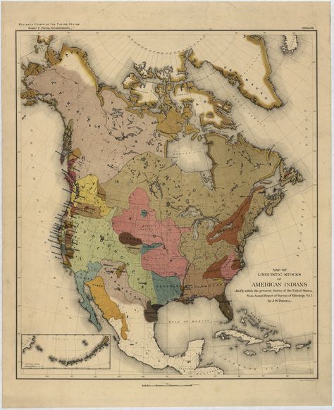 Colorful Late 19th-Century Map of Native American Languages: John Wesley Powell, explorer, geologist, and scientist, produced this map while he was the head of the Bureau of American Ethnology, as part of an 1890 Annual Report. Native American Regions, Native American Map, Native American Language, Language Map, North America Map, Indian Tribes, Native American Tribes, Native American History, Historical Maps