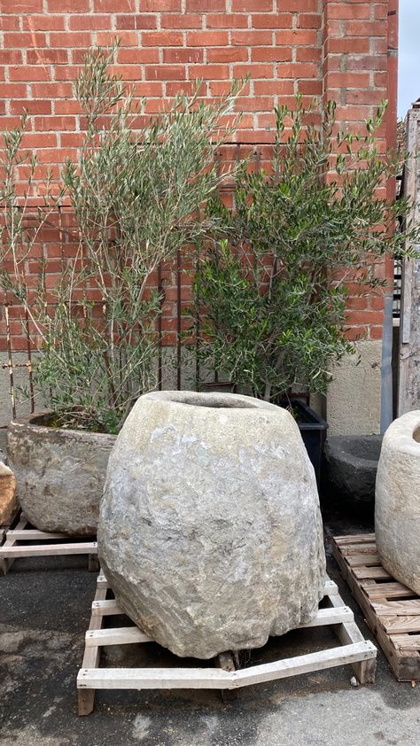 Large cement handcrafted planter pot Diy Limestone Planter, Limestone Planter, Tuscan Landscape Design, Oversized Planters, Rock Planters, Big Planters, Stone Planter, Rock Plants, Stone Plant