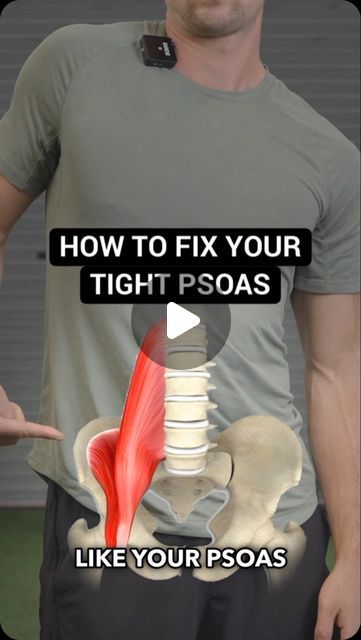 Conor Harris on Instagram: "You can stretch and roll out you Psoas all day long, but if you don’t understand why it’s tight in the first place…  You’ll probably not get the results you’re looking for. ——— #psoas #psoasstretch #psoasrelease #hipflexor #hipflexors #hipflexorstretch #hipflexorrelease #hipmobility #posture #posturecorrection" Psoas Stretch Release, Hip Stretches For Pain, Psoas Stretches, Psoas Muscle Pain, Ms Exercises, Psoas Stretch, Psoas Release, Muscle Stretches, Rehabilitation Exercises