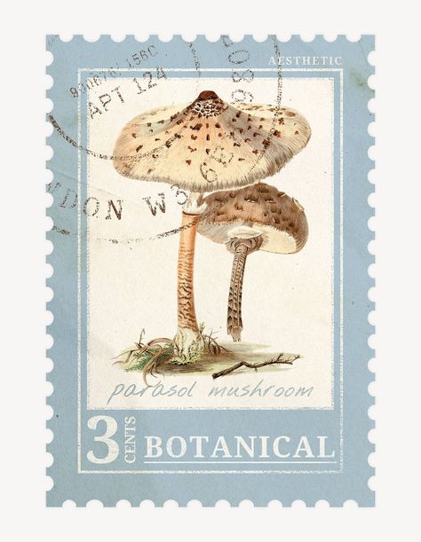 Mushroom Collage, Mushroom Stamp, Mushroom Vintage, Aesthetic Mushroom, Sticker Drawing, Ephemera Collage, Art 2024, Vintage Mushroom, Vintage Postage Stamps