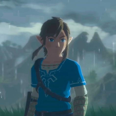 Link Breath Of The Wild Screenshots, Link Pfp Botw, Link Zelda Breath Of The Wild, Breath Of The Wild Screenshots, Breath Of The Wild Aesthetic, Botw Link Icon, Legend Of Zelda Breath Of The Wild, Botw Screenshots, Hero Of The Wild