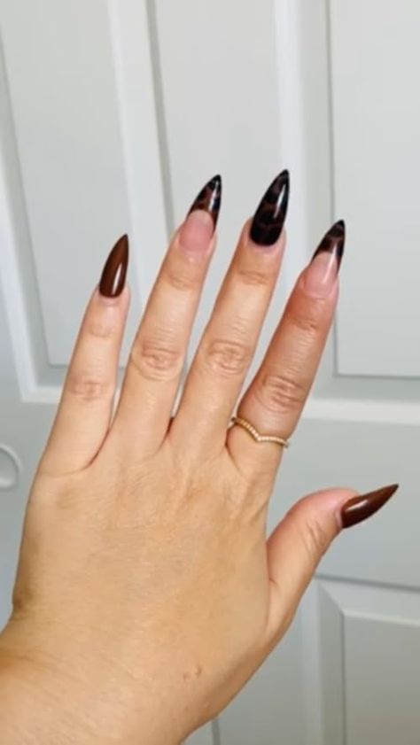 Check out this video Apres Medium Stiletto Nails  from MIU Medium Stiletto Nails, Medium Stiletto, Stiletto Nails, Amazon Finds, Nails, Quick Saves