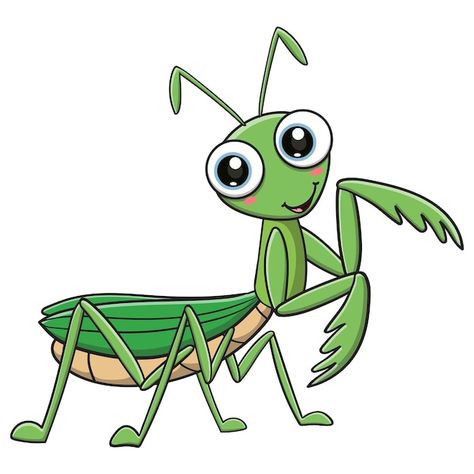 Cute Bug Cartoon, Praying Mantis Cartoon, Mantis Illustration, Grasshopper Cartoon, Praying Mantis Life Cycle, Worm Cartoon, Draw Bugs, Cartoon Insects, Cute Insects