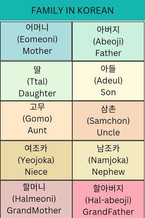 Learn how to say Mother father and other family members in Korean #korea #korean