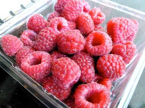 Raspberries Healthy Raspberry Recipes, Raspberry Recipes Easy, Weight Watchers Dessert, Summer Fruit Recipes, Weight Watchers Dessert Recipes, Healthy Low Calorie, Berry Recipes, Cow Cheese, Points Plus