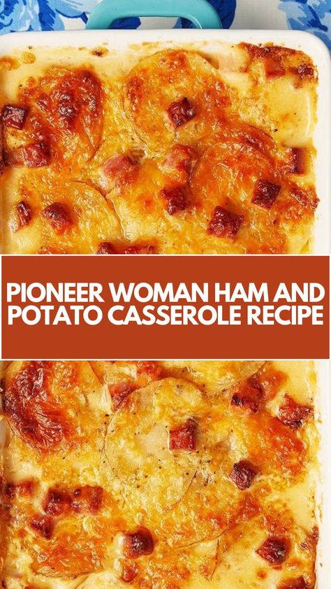 This delicious Pioneer Woman Ham and Potato Casserole is a creamy, comforting dish that’s perfect for any meal. It’s quick and easy to make with simple ingredients like ham, potatoes, and cheese. With its rich layers and gooey cheese, this casserole is sure to be a family favorite! Scalloped Potatoes And Ham Pioneer Woman, Pioneer Woman Scalloped Potatoes And Ham, Ham And Cheese Casserole Recipes, Cheesy Ham And Hashbrown Casserole, Ham Cheese And Potato Casserole, Creamy Ham And Potato Casserole, Easy Ham And Potato Casserole, What Can I Make With Leftover Ham, Easy Ham Recipes Quick