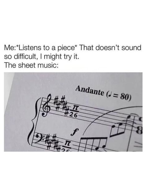 Music Annotations, Piano Memes, Musician Memes, Musician Jokes, Music Memes Funny, Musical Jokes, Musician Humor, Marching Band Humor, Band Jokes