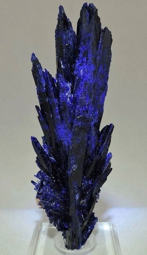 Cool Gemstones, Azurite Crystals, Minerals Crystals Rocks, Magical Stones, Pretty Rocks, Cool Rocks, Beautiful Rocks, Mineral Stone, Minerals And Gemstones