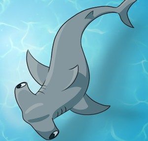 How To Draw A Hammerhead Shark Hammerhead Shark Drawing, Shark Drawing Easy, Bugs Drawing, Mystery Island, Shark Drawing, Shark Coloring Pages, Shark Art, Drawing Heads, Creatures Art