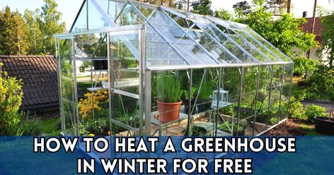 How to heat a greenhouse in winter for free Heating Greenhouse In Winter, Heating Greenhouse, Greenhouse In Winter, Heating A Greenhouse, Heat, For Free