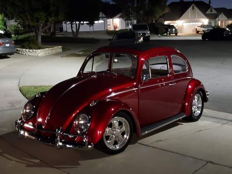 Bug Car, Old Vintage Cars, Volkswagen Bug, Beetle Car, Cool Car Accessories, Vw Beetle Classic, Vw Cars, Classy Cars, Pretty Cars