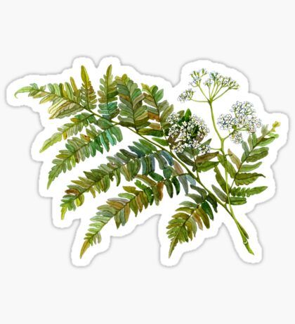 Botanical Stickers | Redbubble Botanical Stickers, Scrapbook Frames, Insta Highlights, Wedding Cards Handmade, Nature Stickers, Paper Background Texture, Pinturas Disney, Bullet Journal Stickers, Floral Stickers