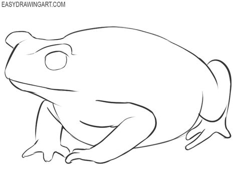 How to Draw a Toad | Easy Drawing Art How To Draw Toad, Toad Drawing Easy, Toad Inktober, Toad Sketch, Toad Drawing, Whiteboard Art, Wall Drawings, Inktober 2023, Flannel Quilts