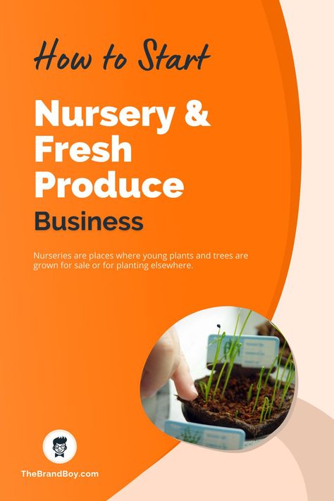 Plant Nursery Business, Community Supported Agriculture, Chef Work, Business From Home, Outdoor Market, In Season Produce, Fresh Fruits And Vegetables, Propagating Plants, Small Business Ideas