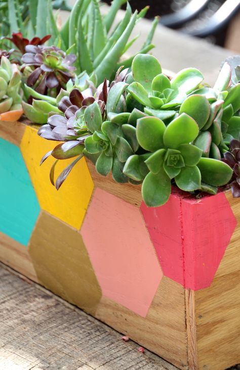 DIY Hexagon Wood Succulent Planter Wood Succulent Planter, Succulent Planter Diy, Planter Project, Cactus Planta, Wooden Planter Boxes, Folding Origami, Wooden Planters, Cactus Y Suculentas, Diy Interior