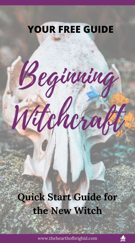 Get your free Traditionalist Witch's Guide to Beginning Witchcraft Learn to work with magical energies to fuel your magic and pack a powerful punch to your witchcraft Maybe you are overwhelmed by all the advice for new witches and don’t know where to start. Let me make it incredibly simple for you with this quick start, quick results guide Action Focused – less reading, more doing! #witch #witchcraft #pagan #paganism #magic New Witches, Beginner Witchcraft, Witchcraft Symbols, Reading More, Occult Books, Witchcraft For Beginners, Pagan Witchcraft, Helping Hand, Green Witch